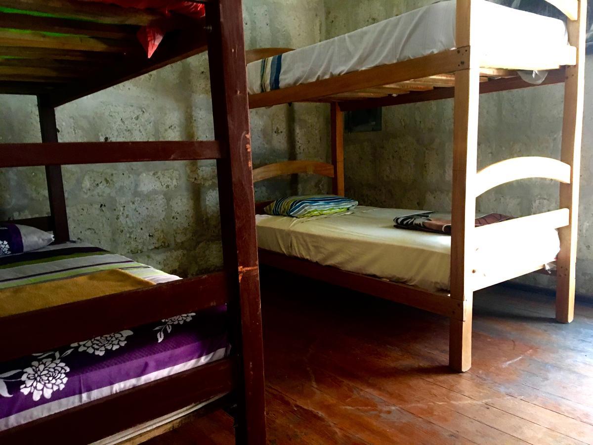 ארקוויפה Lion Aqp Hostel מראה חיצוני תמונה