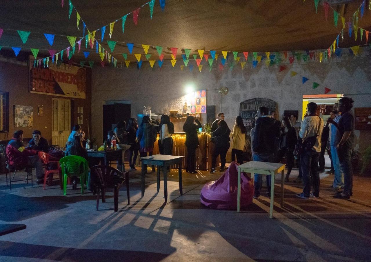 ארקוויפה Lion Aqp Hostel מראה חיצוני תמונה